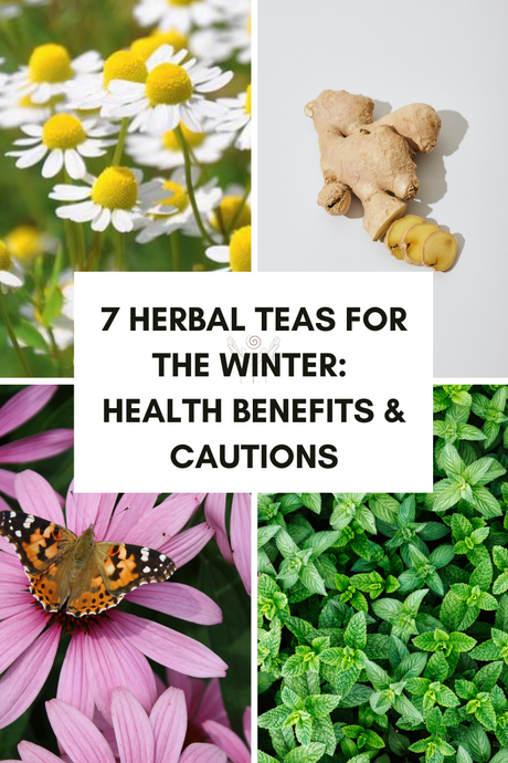 7 Herbal Teas for The Winter: Health Benefits & Cautions